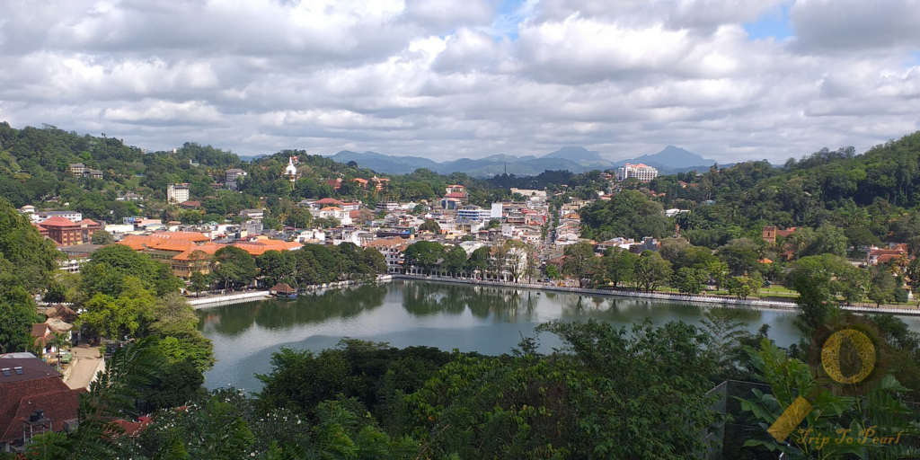 Kandy View