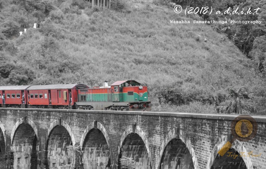 Nine Arch Locomotive Ella